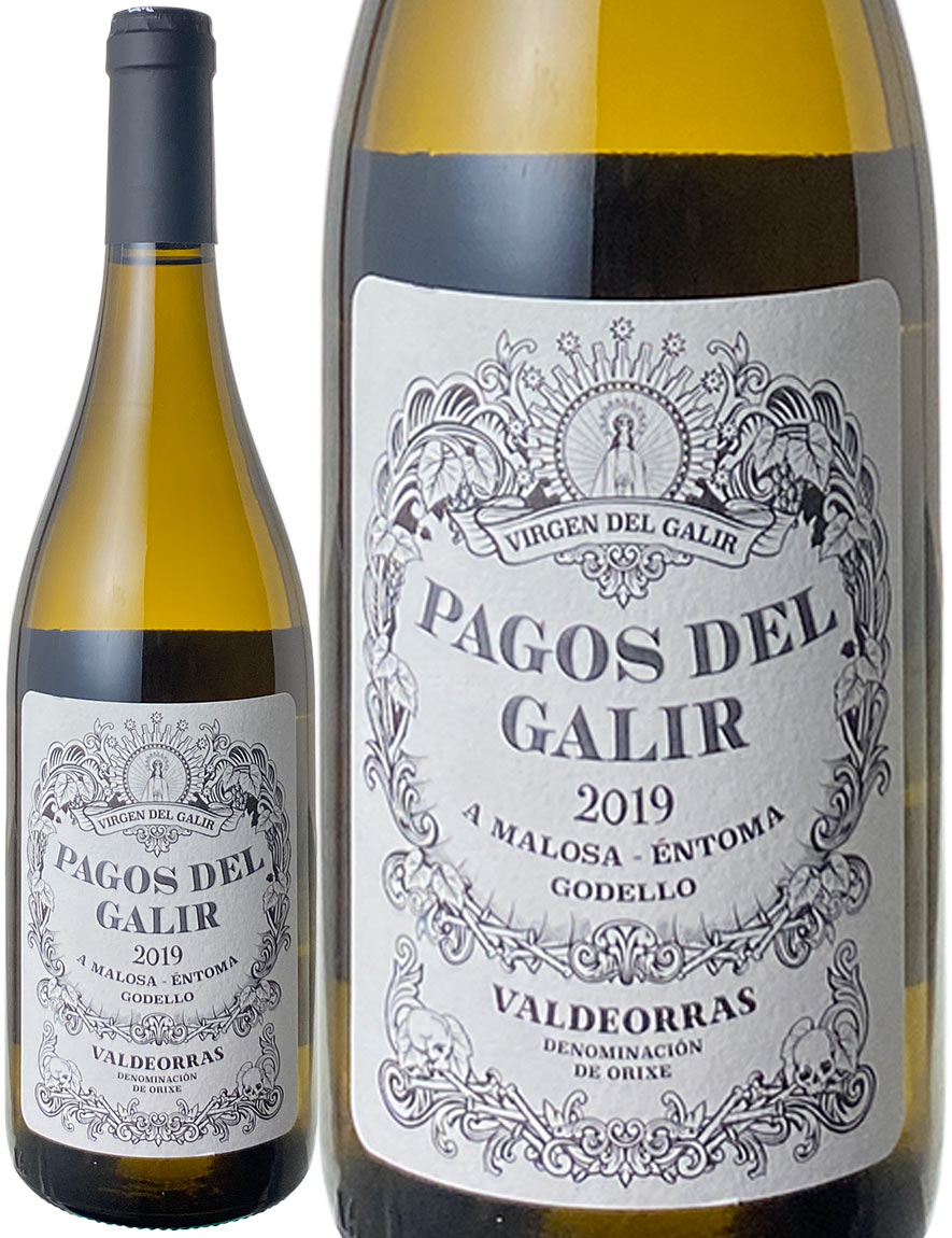 パゴス・デル・ガリル　ゴデーリョ　[2020]　ヴィルシェ・デ・ガリル　＜白＞　＜ワイン／スペイン＞