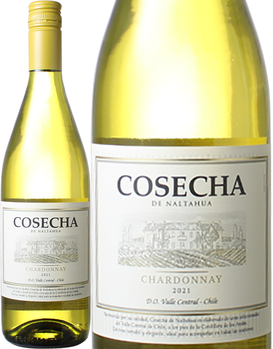 コセチャ　シャルドネ　[2023]　＜白＞　＜ワイン／チリ＞　※ヴィンテージが異なる場合があります。