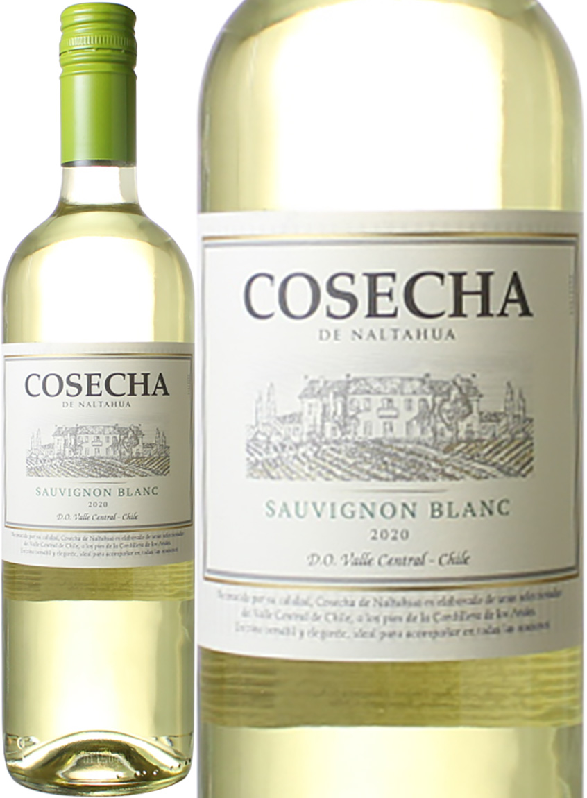 コセチャ　ソーヴィニヨン・ブラン　[2023]　＜白＞　＜ワイン／チリ＞　※ヴィンテージが異なる場合があります。