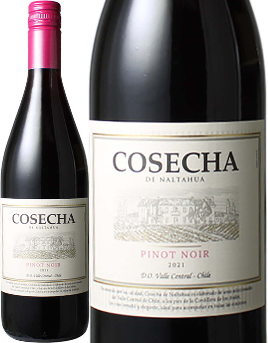 コセチャ　ピノ・ノワール　[2022]　＜赤＞　＜ワイン／チリ＞　※ヴィンテージが異なる場合があります。