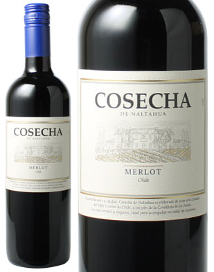 コセチャ　メルロー　[2021]　＜赤＞　＜ワイン／チリ＞※ヴィンテージが異なる場合があります。