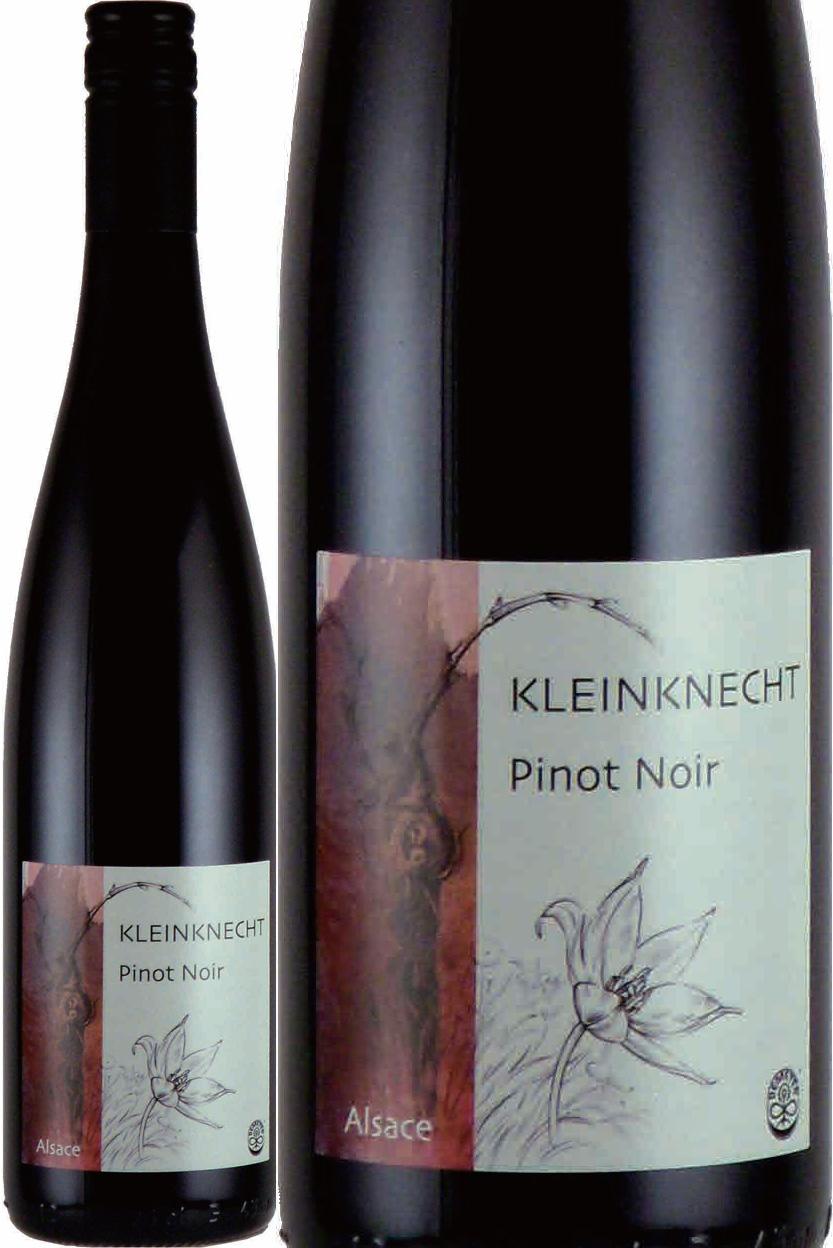 アルザス　ピノノワール 「2022＆23]　クラインクネヒト　＜赤＞　＜ワイン／アルザス＞