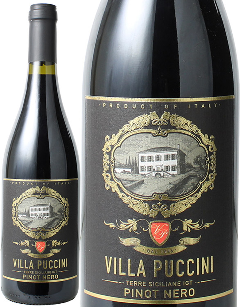 ヴィラ・プッチーニ　ピノ・ネロ　[2022]　＜赤＞　＜ワイン／イタリア＞