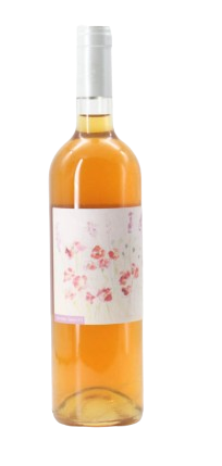 ビアンコ・アンソニカ　[2023]　サンタ・マリーア(コッレオーニ) 　＜白醸し＞　＜ワイン／イタリア＞　