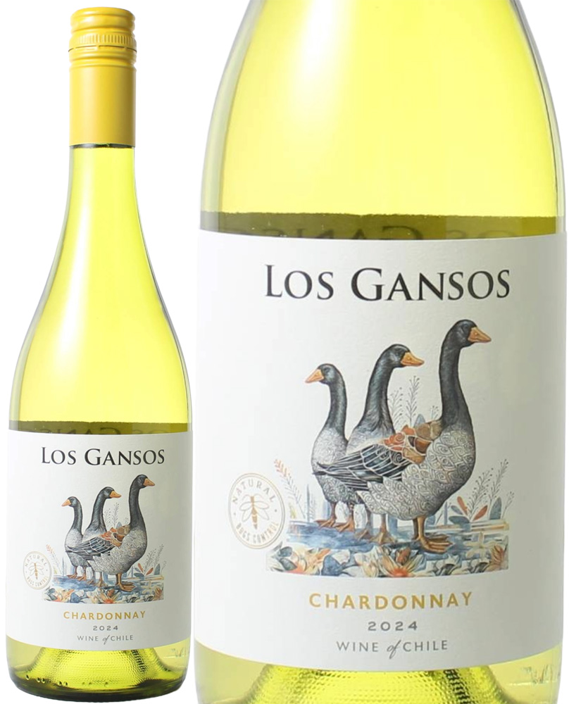 【業務店様専用】ロス・ガンソス　シャルドネ　[2024]　＜ワイン／チリ＞