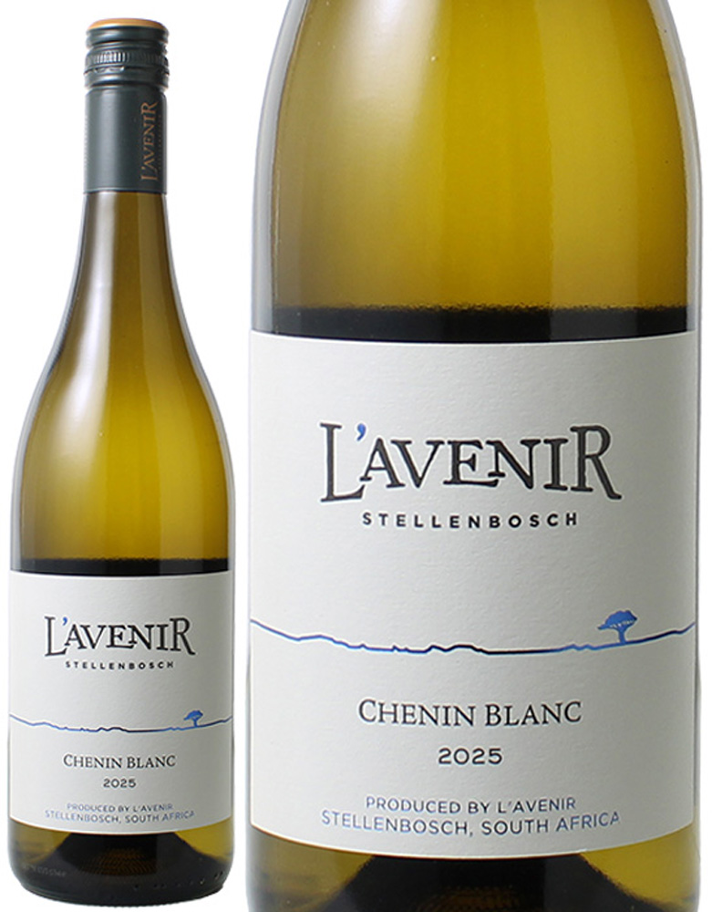 ラヴニール　ホリゾン　シュナン・ブラン　[2025]　＜白＞　＜ワイン／南アフリカ＞