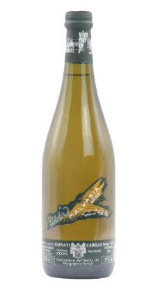 マルヴァジーア　フリッザンテ　セッコ　[2024]　カミッロ・ドナーティ　＜白＞　＜ワイン／イタリア＞