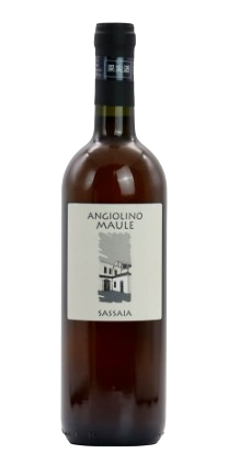 サッサイア　エディツィオーネ　スペチャーレ　[2023]　ラ・ビアンカーラ　＜白＞　＜ワイン／イタリア＞