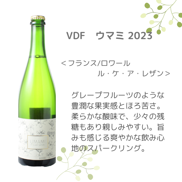 VDF ウマミ